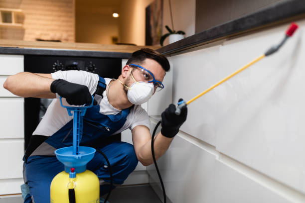Best Pest Removal Services  in Big Lake, MN
