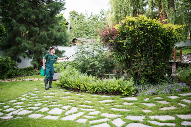 Best Commercial Pest Control Services  in Big Lake, MN