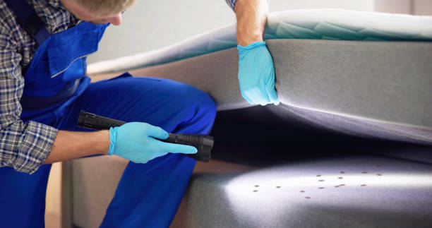 Trusted Big Lake, MN Pest Control Experts